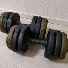 アーミーダンベル　10kg×2