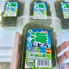 沖縄県産 海ぶどう 茎なしA級 パック詰め