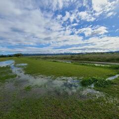 河川、海のウォーキング清掃やっちゃう?