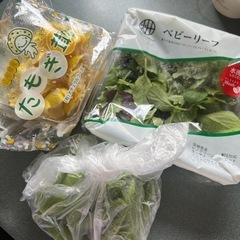 野菜やキノコ、枝豆