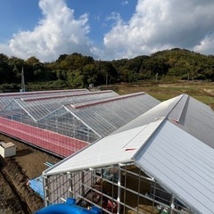 温室•ビニールハウス建築業【今だけ‼︎入社祝金3万円⭐︎未経験者大歓迎⭐︎社会保険完備⭐︎手当多数有⭐︎】 - 海南市