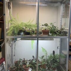 室内温室ワーディアンケース＋周辺機器＋温室植物