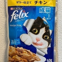 キャットフード／総合栄養食(成猫用)