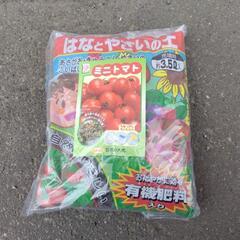 ミニトマト栽培セット