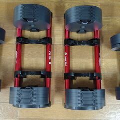 可変式ダンベル×2(FLEXBELL×Mad Bull)