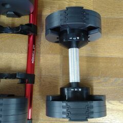 可変式ダンベル×2(FLEXBELL×Mad Bull)