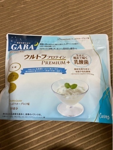 ダイコー 大丸興業 胴突竿200-230号 & SF sunfish 巡洋300 ダイコー