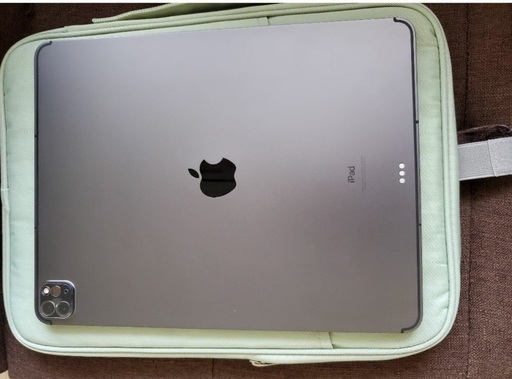 iPad Apple iPad Pro 5th Generation 265GB WiFi + Cellular