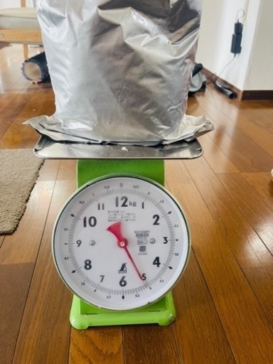 蓄光粉末　５kg  色グリーン