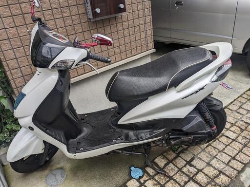 シグナスX 1型 SE-12J  白