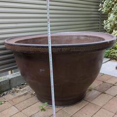 睡蓮鉢 超大型 骨董 植木鉢 【公式通販】