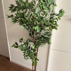 【IKEA】人工観葉植物ベンジャミン