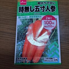 にんじんの種