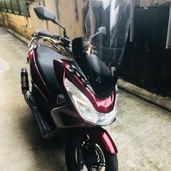 【ネット決済】pcx
        　