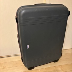 アイリスオーヤマ　スーツケース