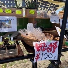 ジャガイモ一袋100円‼️【無人販売】