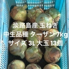 兵庫県 淡路島産 玉ねぎ サイズ3L 7kg 中生品種 ターザン...