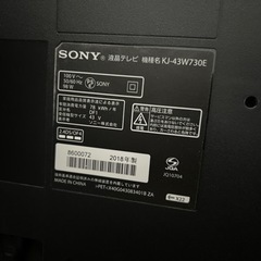 REGZA液晶テレビ&テレビ台セット