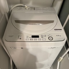 家電 生活家電 洗濯機（5/28引渡し）