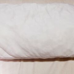 【カバーで使用】私本人🌟女性🌟半年使用🌟マシュマロたっちの枕🌟包...