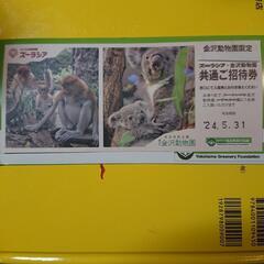 金沢動物園の招待券 使用期限5月31日まで  ※ズーラシアでは使...