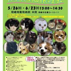 5月26日 本日！！保護犬＆保護猫の譲渡会、開催します！