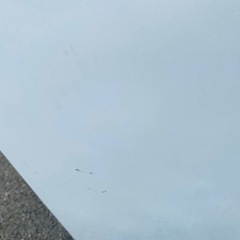 ♦️ Hisense 2ドア冷凍冷蔵庫【2019年製】HR-D15C