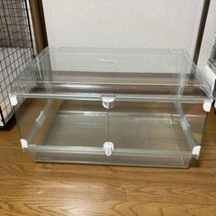 小動物用　GEXガラスゲージ