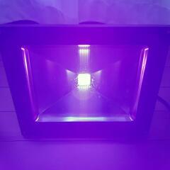 ブラックライト LED 紫外線UV　