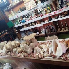 40年程手元サンゴ貴重