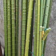 園芸用支柱 54本 新ねぶし タキロン イボ竹