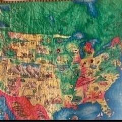 アメリカ地図のラグ