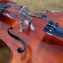 【商談中】4/4チェロとカーボンマックケース