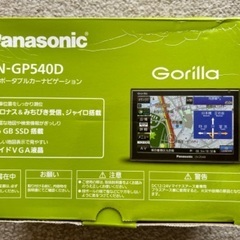 Panasonic Gorilla