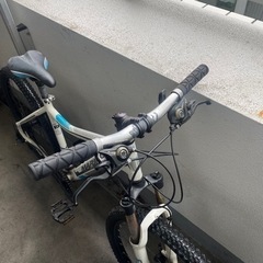 MARIN COAST TRAIL  マリン マウンテンバイク サイズ17