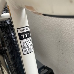 MARIN COAST TRAIL  マリン マウンテンバイク サイズ17