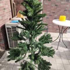 もらってください　クリスマスツリー　150cm