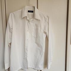 白　Yシャツ　レディース　サイズ165