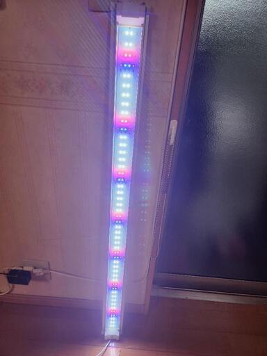 NISSO　1200LEDライト