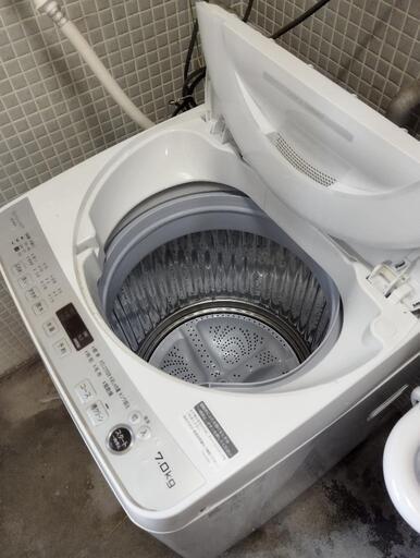 家電 生活家電 洗濯機