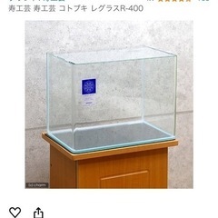 【受け渡し決定】ガラス水槽　観賞魚