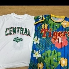 阪神タイガース木浪聖也Tシャツタオルシークレットグッズ