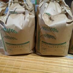 農家直送令和５年度産30キロ　残1袋