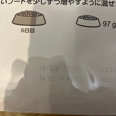 ロイヤルカナン　成犬　柴　8キロ×2袋