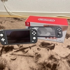 ✨️完品✨️ニンテンドースイッチライト