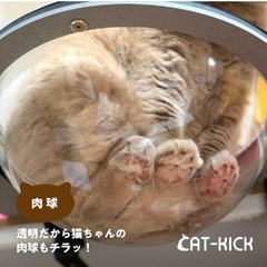 【ネット決済】ロケットハンモック　猫用