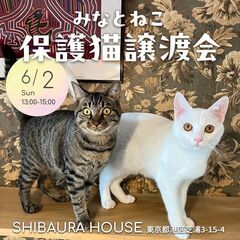 6/2(日)みなとねこ保護猫譲渡会＠東京芝浦