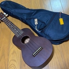 商品名: SUZUKI バイオリン 1/10サイズ　専用ハードケ...
