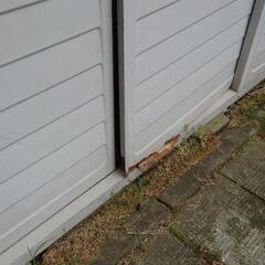 物置　解体　引取お願いします。