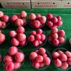 桃太郎　トマト　6個〜10個